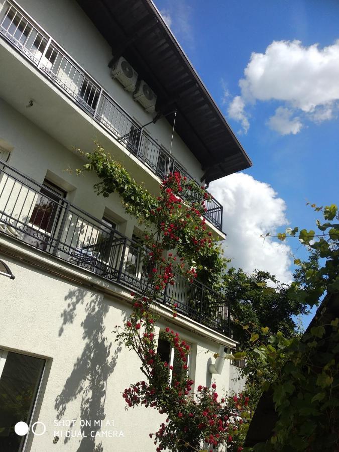 Casa Romaneasca Curtea de Argeş 外观 照片